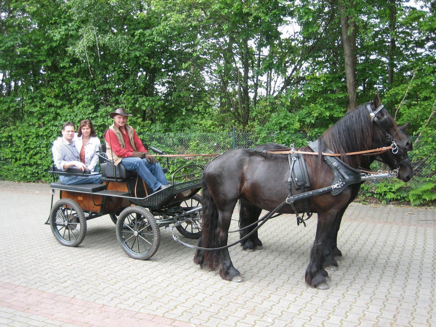 Hotel Graf Balduin Esterwegen Esterno foto